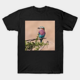 Lilac-Breasted Roller T-Shirt